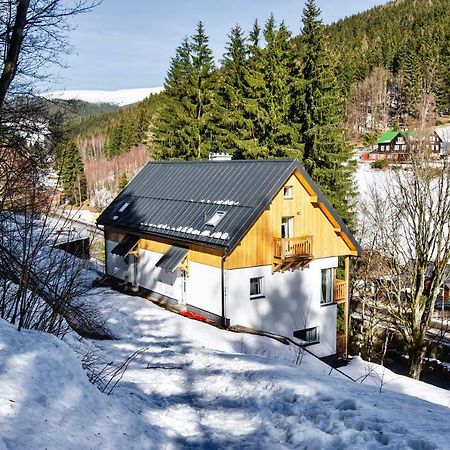 Apartman Reggie - Пец под Снежко Екстериор снимка